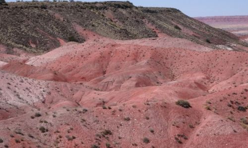 Zdjecie USA / Arizona / Malowana Pustynia / Painted Desert  