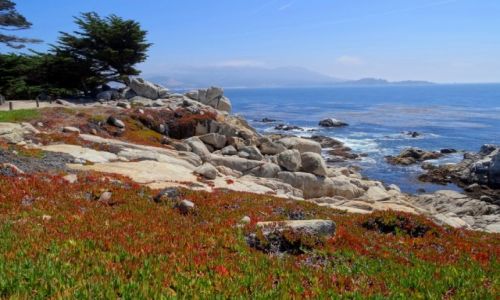 Zdjecie USA / Kalifornia / Big Sur / BIG SUR najpikniejsza czc kalifornijskiego wybrzea