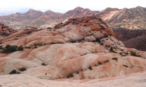 Zdjcie USA / Utah / Yant Flat Candy Cliffs / Yant Flat w cieniu