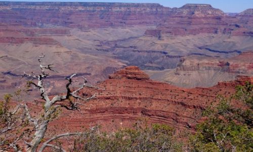 Zdjecie USA / Arizona / Grand Canyon / Grand Canyon