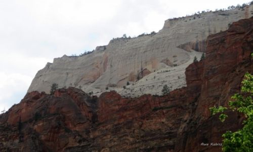 Zdjecie USA / Utah / Park narodowy Zion / Prawie jak WZ-tka ;)