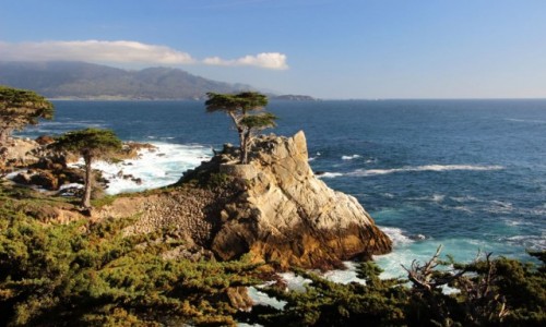 Zdjęcie USA / Kalifornia / Monterey / Cyprys na wiszącej skale