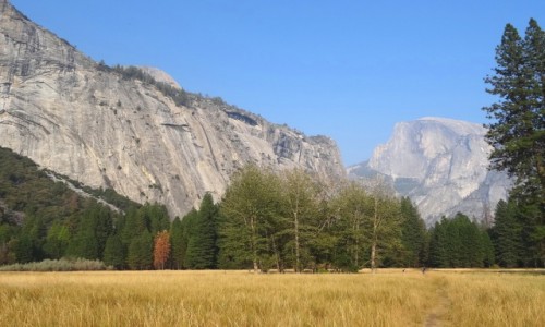 Zdjcie USA / Park Narodowy Yosemite / Half Dome / Kolorowo, sonecznie w Yosemite