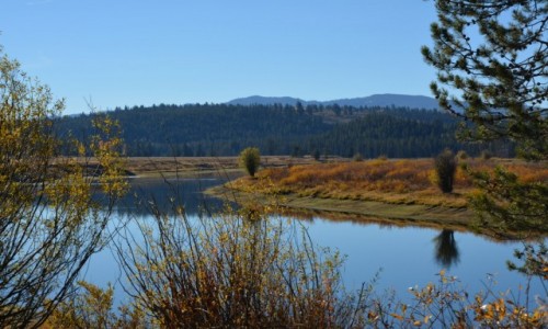 Zdjecie USA / Wyoming / PN Grand Teton / Jackson Hole