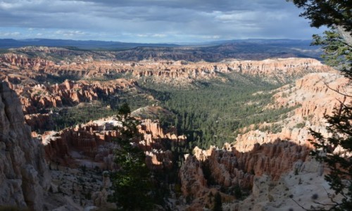 Zdjcie USA / Utah / Park Narodowy Kanionu Bryce / hoodoo