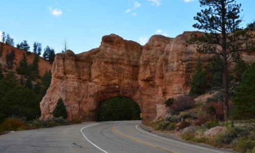 Zdjcie USA / Utah / Autostrada numer 12 (Scenic Byway)  / Red Canyon