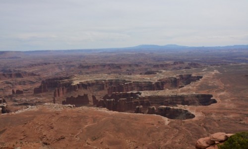 Zdjcie USA / Utah / Park Narodowy Canyonlands / jak lad dinozaura...