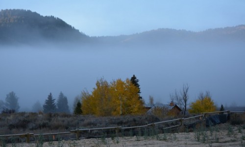 Zdjecie USA / Wyoming / Park Narodowy Yellowstone / aura tajemniczoci...
