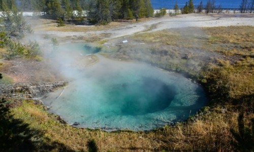Zdjcie USA / Wyoming - Yellowstone NP / West Thumb Geyser Basin / Bluebell Pool