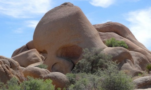 Zdjecie USA / Kalifornia / Joshua Tree NP / Czaszka