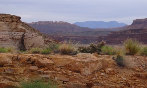 Zdjcie USA / Utah / Escalante / Krajobrazy Escalante