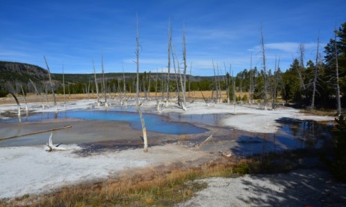 Zdjcie USA / Wyoming - Yellowstone NP / Black Sand Basin / Opalescent pool