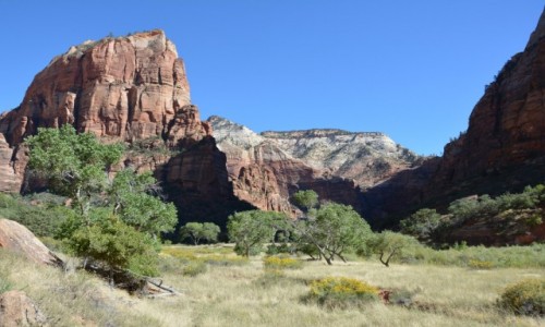 Zdjcie USA / Utah / Park Narodowy Zion / Zion