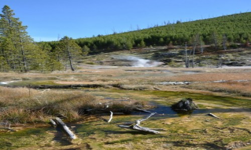 Zdjecie USA / Wyoming / Park Narodowy Yellowstone / Yellowstone