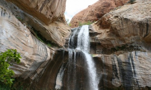 Zdjecie USA / Utah / Canyons OF escalante / wodospad