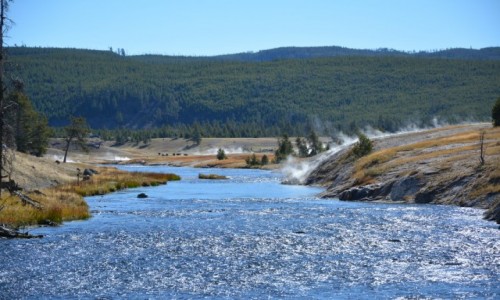 Zdjecie USA / Wyoming - Yellowstone NP / Park Narodowy Yellowstone / w Yellowstone...