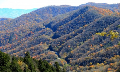 Zdjcie USA / Tennessee / Great Smoky Mountains National Park / US-441