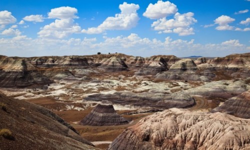 Zdjecie USA / Arizona / Petrified Forest National Park / Petrified Forest 