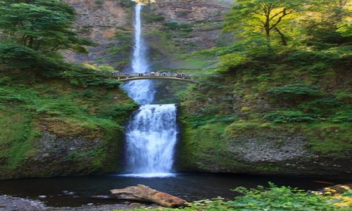 Zdjecie USA / Oregon / Okolice Columbia River / Multnomah Falls