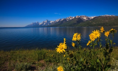 Zdjcie USA / Grand Teton / Wyoming / Grand Teton