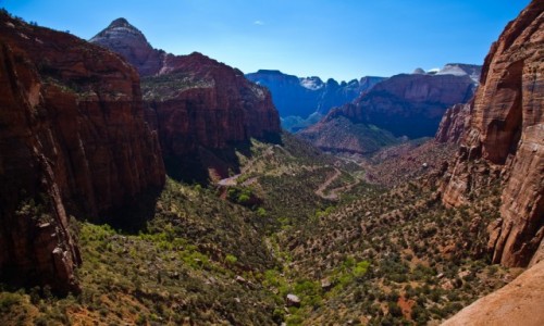 Zdjęcie USA / Utah / Zion / Zion National Park