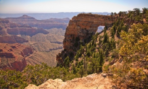Zdjcie USA / Grand Canyon / Walhalla Overlook / Walhalla Overlook