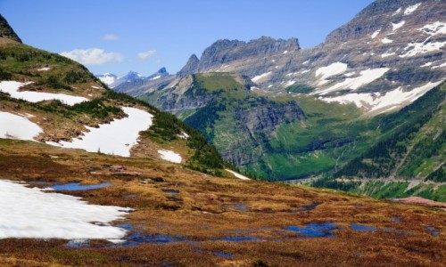 Zdjęcie USA / Glacier National Park / Going-to-the-Sun Road / Going-to-the-Sun Road