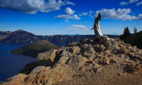 Zdjecie USA / Oregon / Crater Lake National Park / Crater Lake