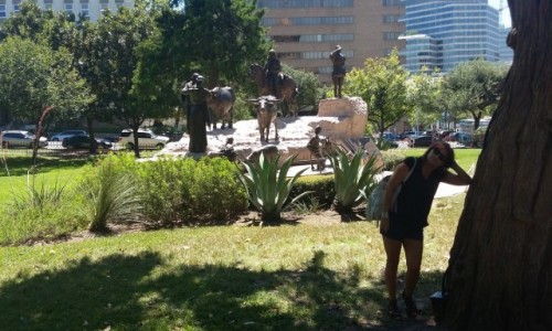 Zdjęcie USA / Austin/Texas / Austin City / Austin