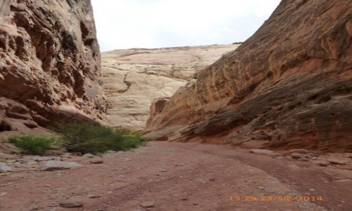 Zdjecie USA / UTAH / Capitol Reef NP / Grand Wash Road, 