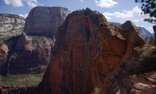 Zdjecie USA / Utah / Zion National Park / Widok na Angels Landing