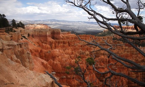 Zdjecie USA / Utah / Bryce Canyon / Widok Kanionu z gry