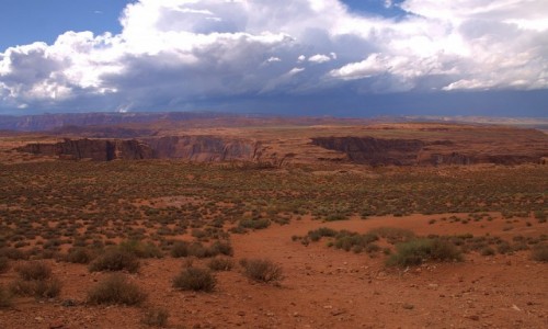 Zdjcie USA / Arizona / Horseshoe Bend / Koryto rzeki Kolorado