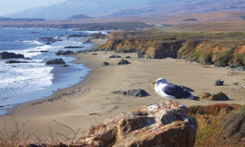 Zdjęcie USA / California / Big Sur / Big Sur