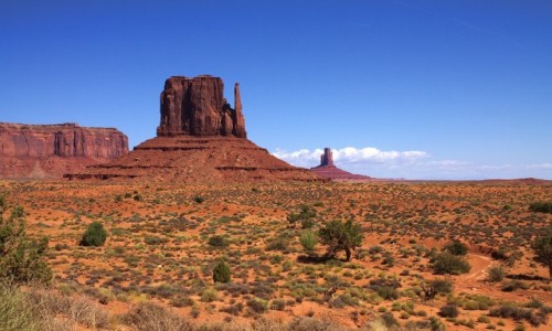 Zdjcie USA / Arizona / Dolina Monumentw / West Mitten Butte