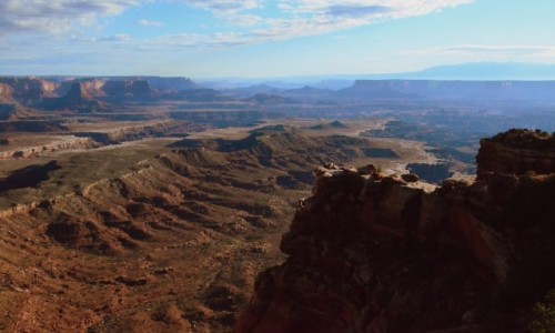 Zdjecie USA / Utah / Canyonlands N.P. / kraina kanyonw o poranku...