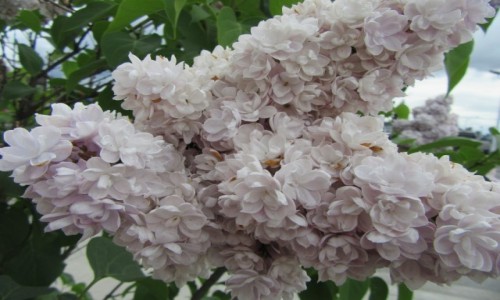 Zdjęcie USA / Whittier / Alaska / Whittier - Alaska