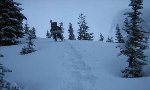 Zdjęcie USA / Stan Waszyngton / Stan Waszyngton / Przecieranie szlakow