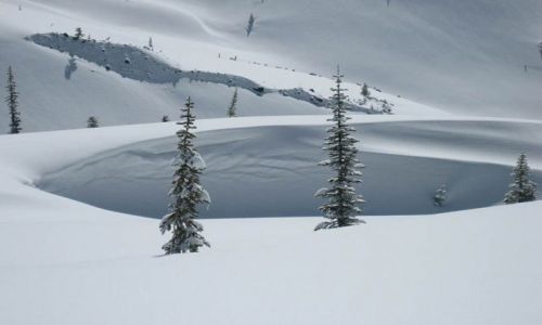 Zdjęcie USA / Stan Waszyngton / stan Waszyngton / Po burzy snieznej