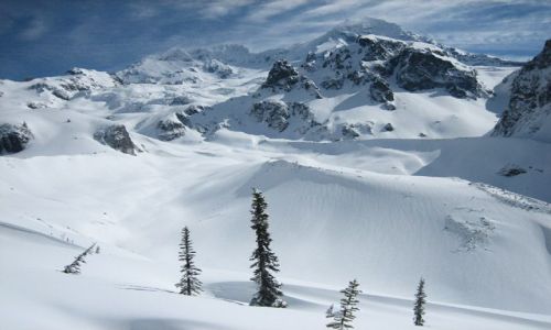 Zdjęcie USA / Stan Waszyngton / stan Waszyngton / Mt Rainier