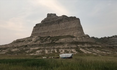 Zdjecie USA / Nebraska  / Nebraska  / Wrd dzikich traw