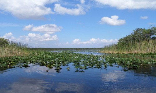 Zdjcie USA / Floryda / Park Everglades (UNESCO) / widok z Park Everglades