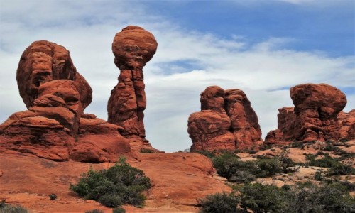 Zdjecie USA / Utah / Archer NP / Niepokj
