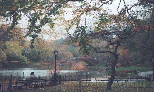 Zdjęcie USA / New York City / Central Park / jesień w Nowym Jorku