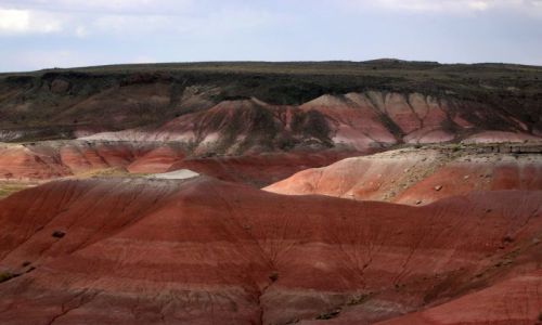 Zdjecie USA / brak / Arizona / malowana pustynia