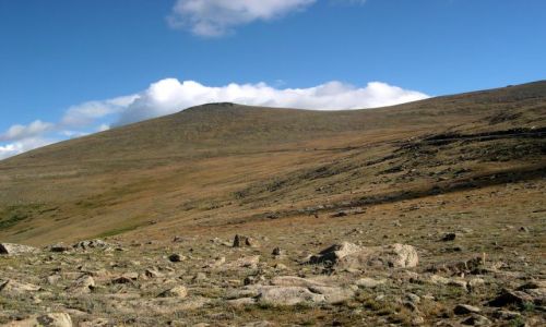 Zdjęcie USA / brak / Kolorado / tundra na wys. 3,7 km