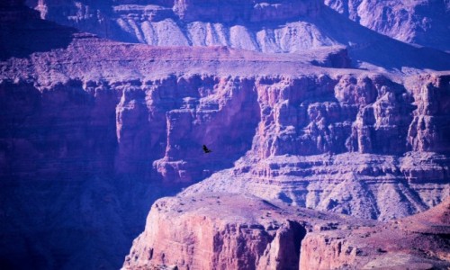 USA / Arizona / Wielki Kanion / South Rim