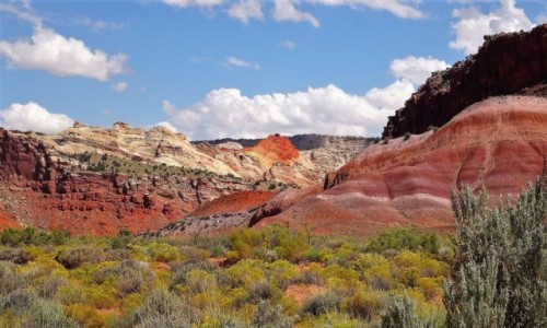 Zdjecie USA / Utah / Kanion Paria / Kolorowo, czyli piknie