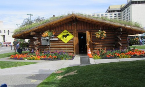 Zdjęcie USA / Anchorage - Alaska / Anchorage - Alaska / P T T K alaskańskie