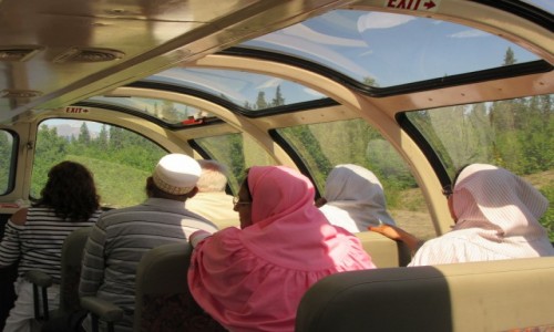 Zdjęcie USA / Anchorage - Alaska / Anchorage - Alaska / Przejazd z Anchorage do Fairbanks